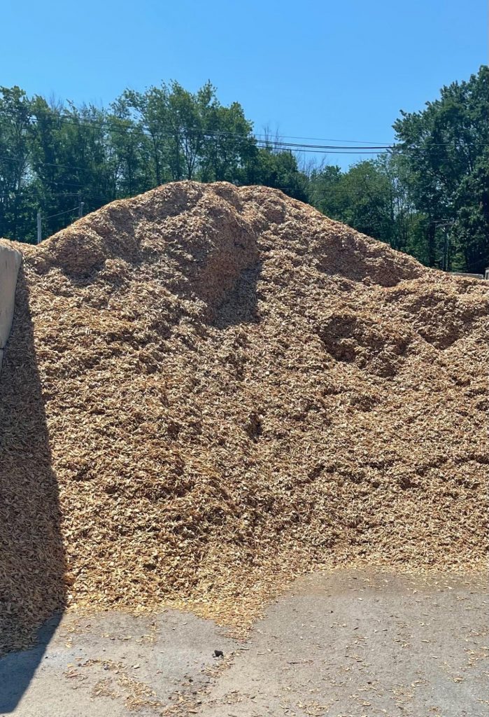 Certified Playground Chip